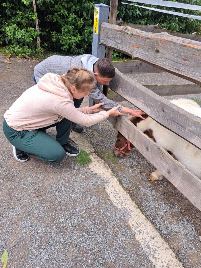 Uczniowie głaskają koniki w minizoo.