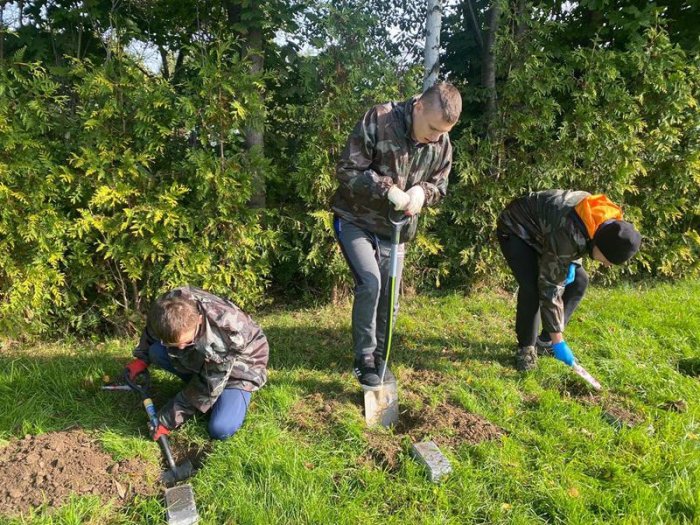 Uczniowie przekopują ziemię pod sadzonki.