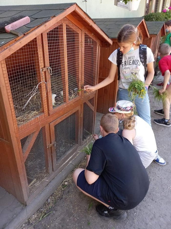 Uczniowie podziwiają zwierzęta w małym zoo. 