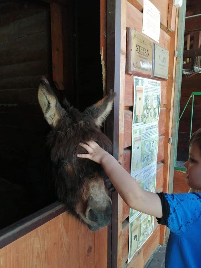 Wizyta w małym zoo. 