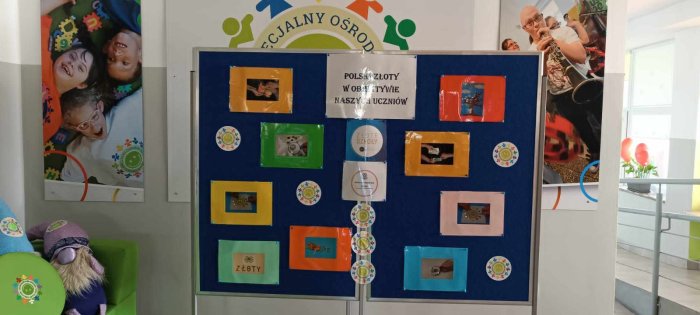 Wystawa zdjęć wykonanych przez uczniów na korytarzu szkolnym.