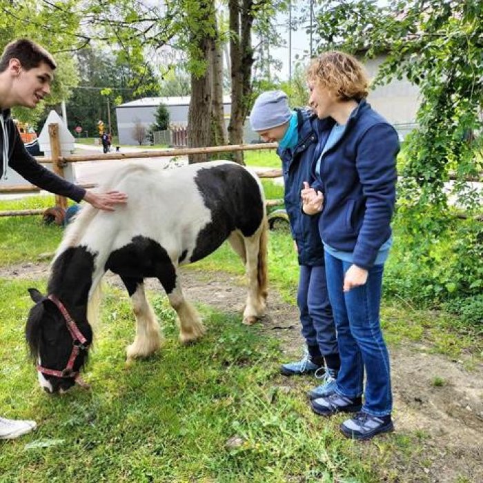 Obcowanie ze zwierzętami. 
