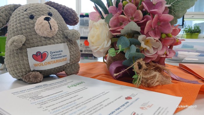 Maskotka wolontariatu żywieckiego.