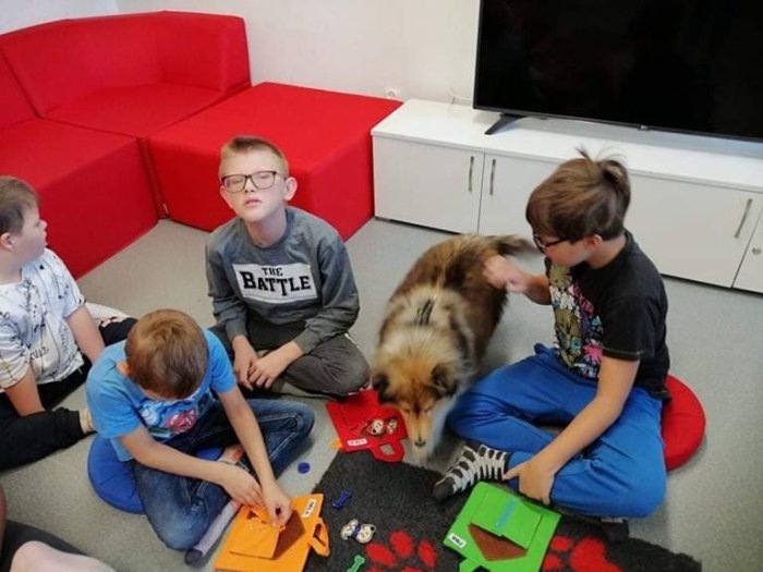 Pies szuka ukrytych przedmiotów. 