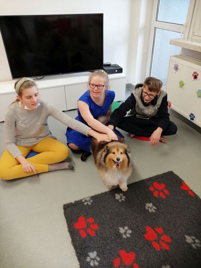 Uczniowie klasy 7 na zajęciach dogoterapii  
