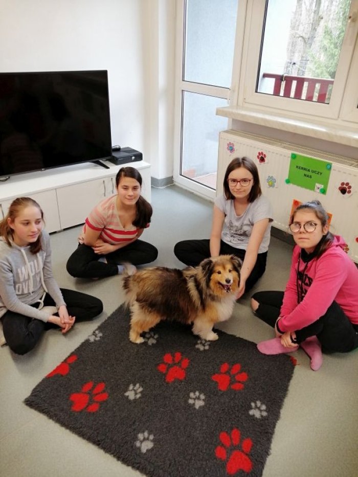 Suczka Kerria z uczestnikami dogoterapii