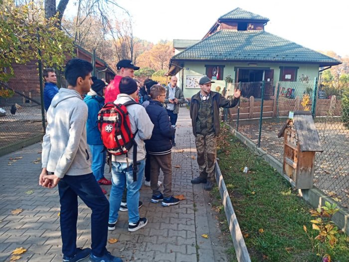Dalsze pogawędki uczniów oraz dyrektora na terenie mini zoo
