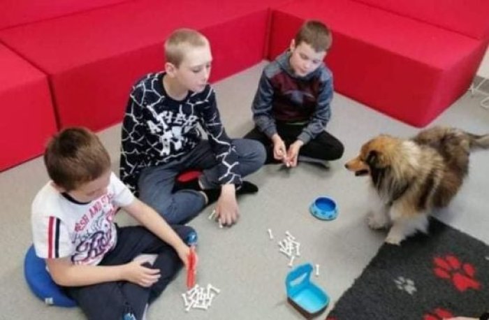 Uczniowie współpracują z psem terapeutycznym na zajęciach dogoterapii.