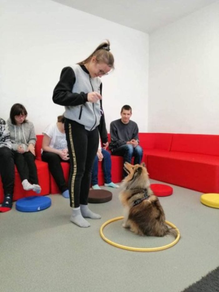 Pies terapeutyczny wykonuje polecenia uczennicy.
