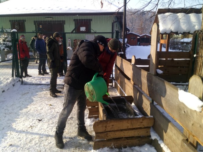Nalewanie wody dla zwierząt podczas praktyki w mini zoo.