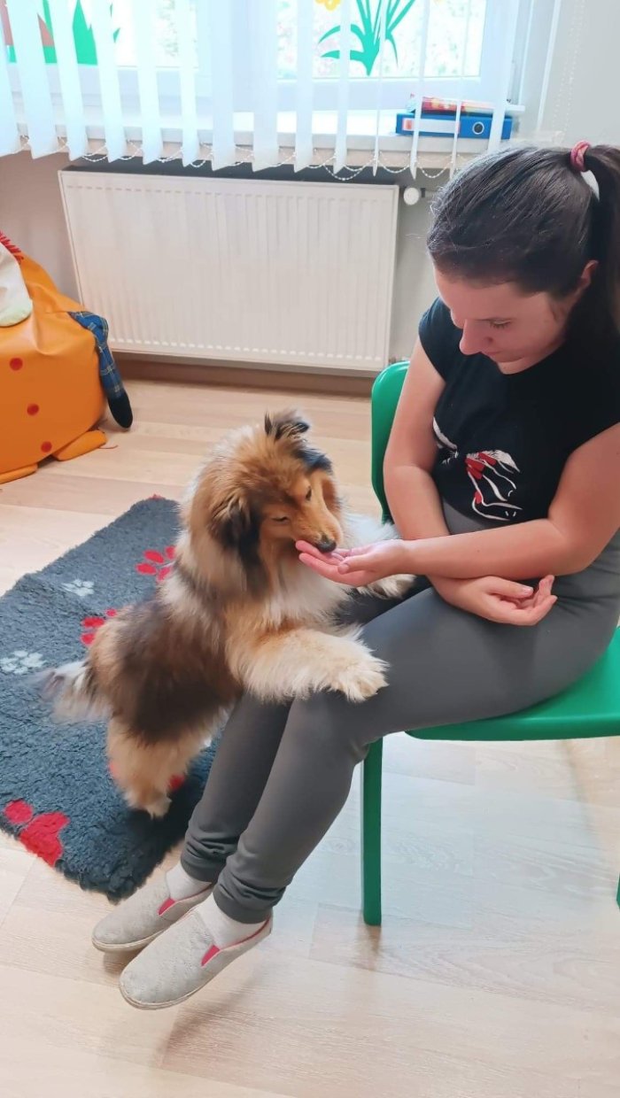 Uczennica w ramach dobrze wykonanego zadania, nagradza psa smakołykiem. 